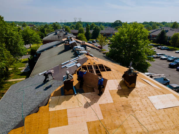 Roof Repair Estimates in Willis, TX